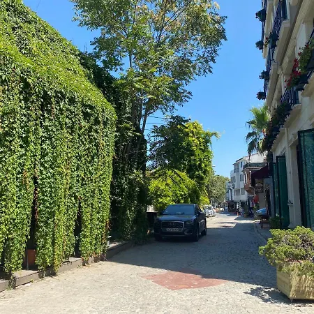 Old Colorful Balat Petrion İstanbul