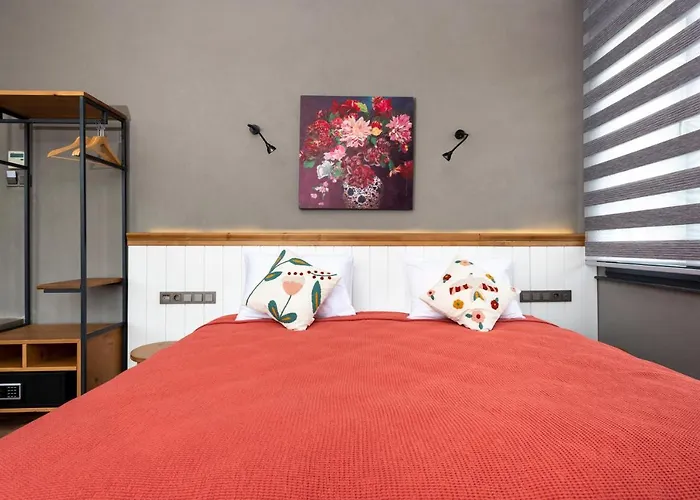 Old Colorful Balat Petrion 伊斯坦布尔