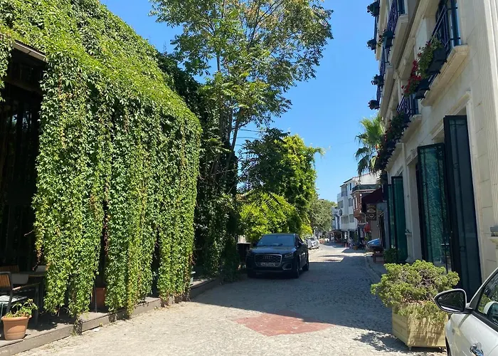 Old Colorful Balat Petrion 伊斯坦布尔