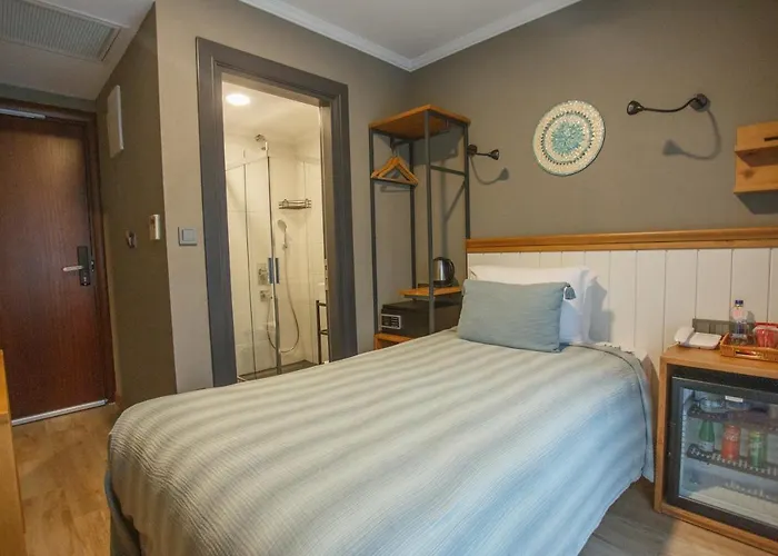 Old Colorful Balat Petrion 酒店 伊斯坦布尔