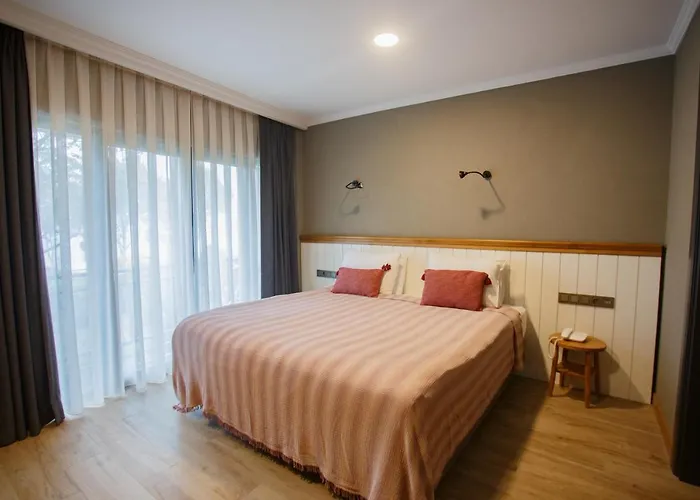 Old Colorful Balat Petrion 伊斯坦布尔